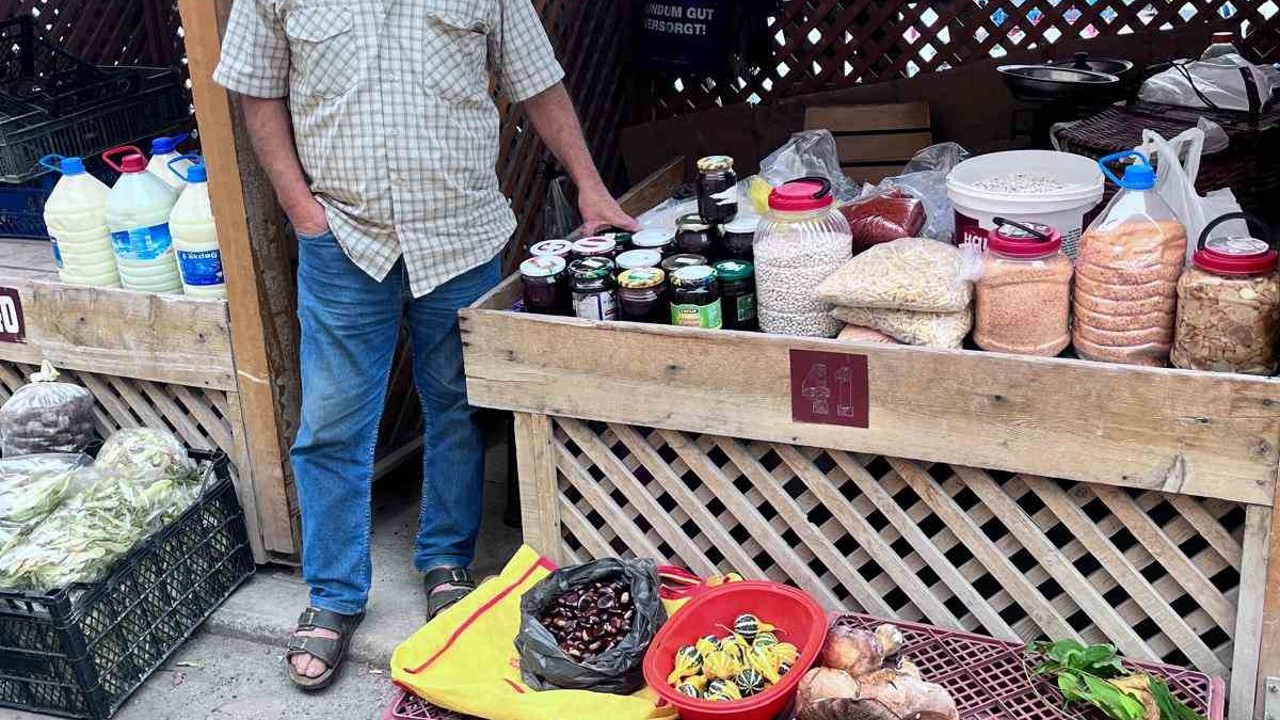 Türkeli’de kestane ve fesleğen mantarı tezgahlarda
