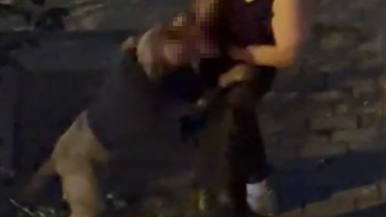 Bahçelievler’de pitbull cinsi köpek sahibine saldırdı: Dehşet anları kamerada
