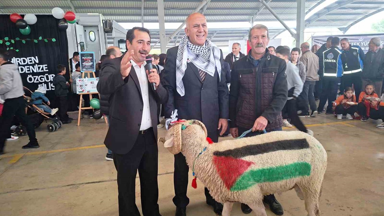 Üzerinde Türkiye ve Filistin bayrakları çizili olan koç, Filistinliler için açık artırmaya çıkarıldı
