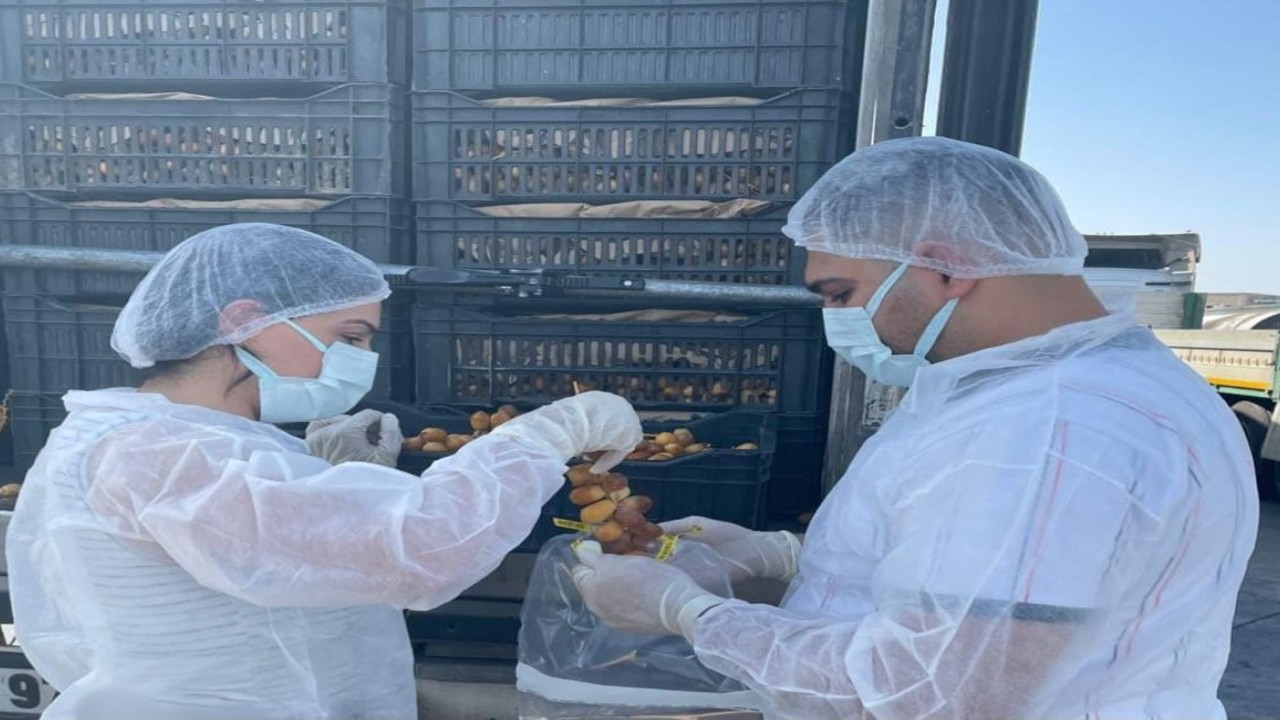 Habur Sınır Kapısında taze hurma ithalatına sıkı denetim
