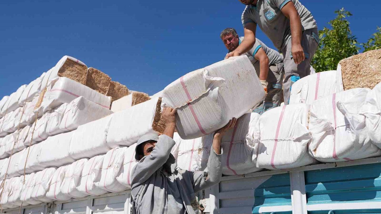 Yangın mağduru çiftçiye yem ve saman desteği sağlandı
