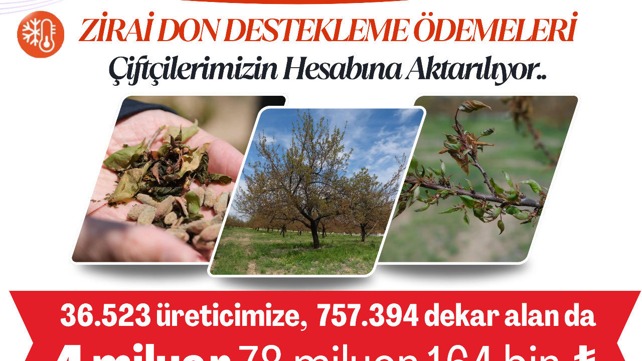 Ve Çifçinin Dört Gözle Beklediği Zirai Don Destek Ödemeleri Başladı