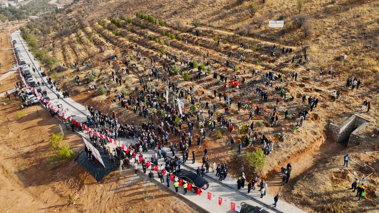 Deprem Şehitleri Hatıra Ormanı Yenileniyor