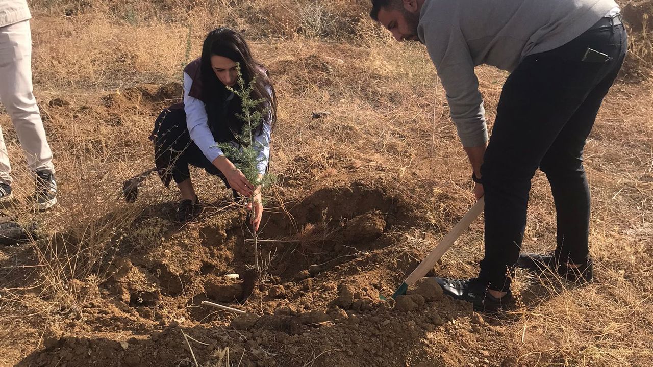 Gençlik Kuruluşları “Birlik Ormanı” İçin Sahada