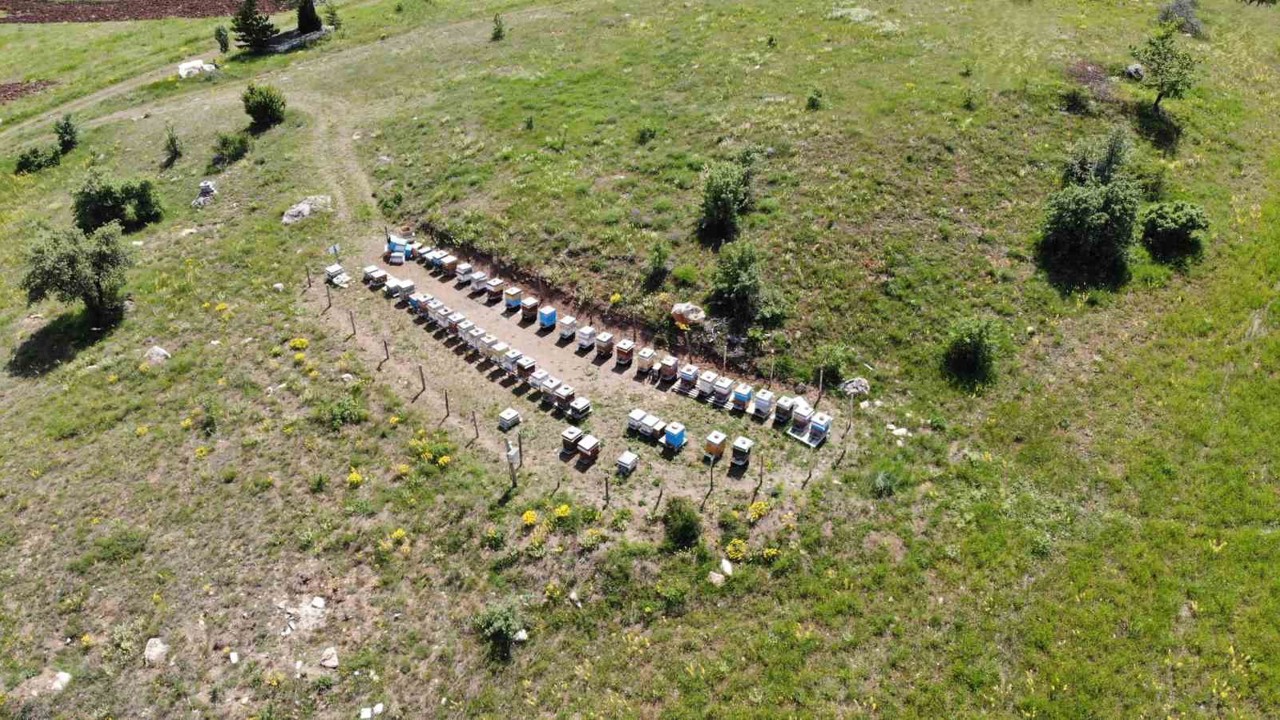 Bayburt’ta arılı kovan destekleme müracaatları başladı
