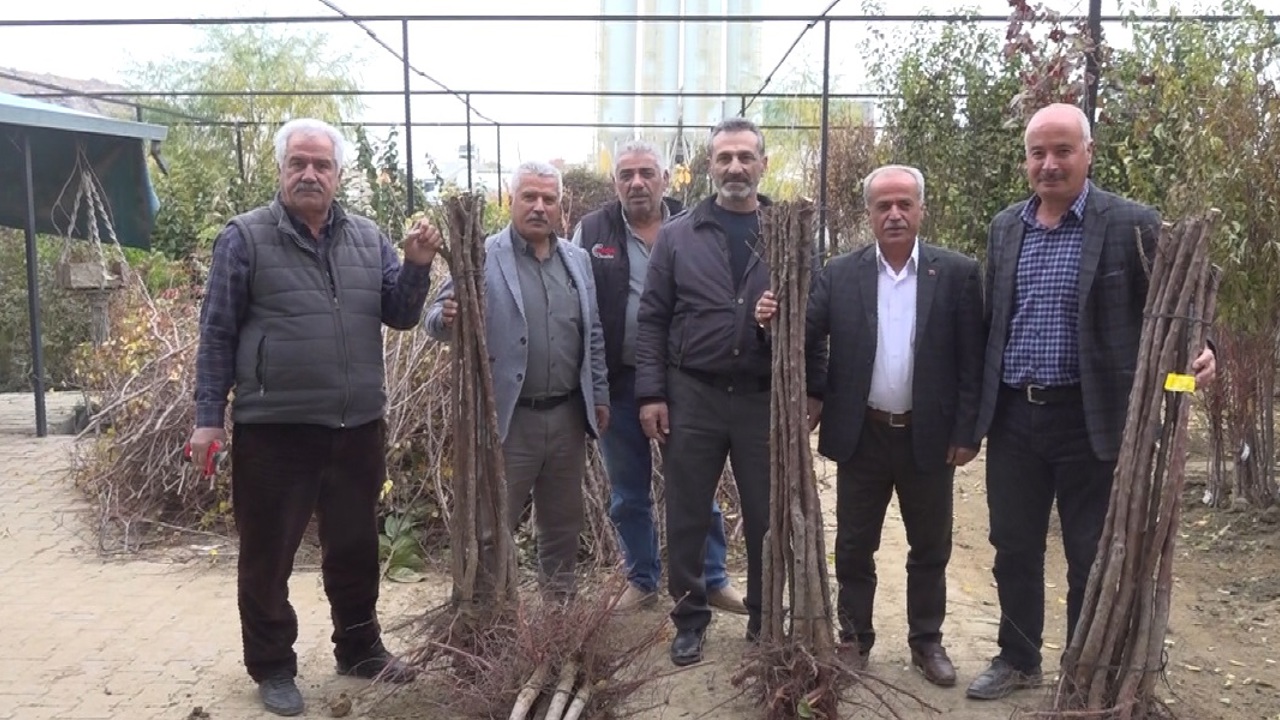 Malatya’da Meyve Fidanı Satış Sezonu Açıldı