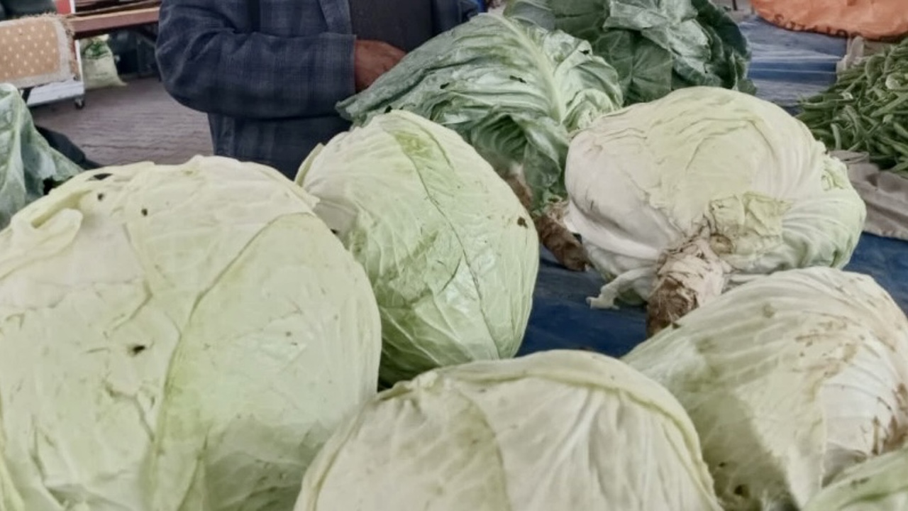 Gastromasa’da Göyyar Lahanası Rüzgarı Esti