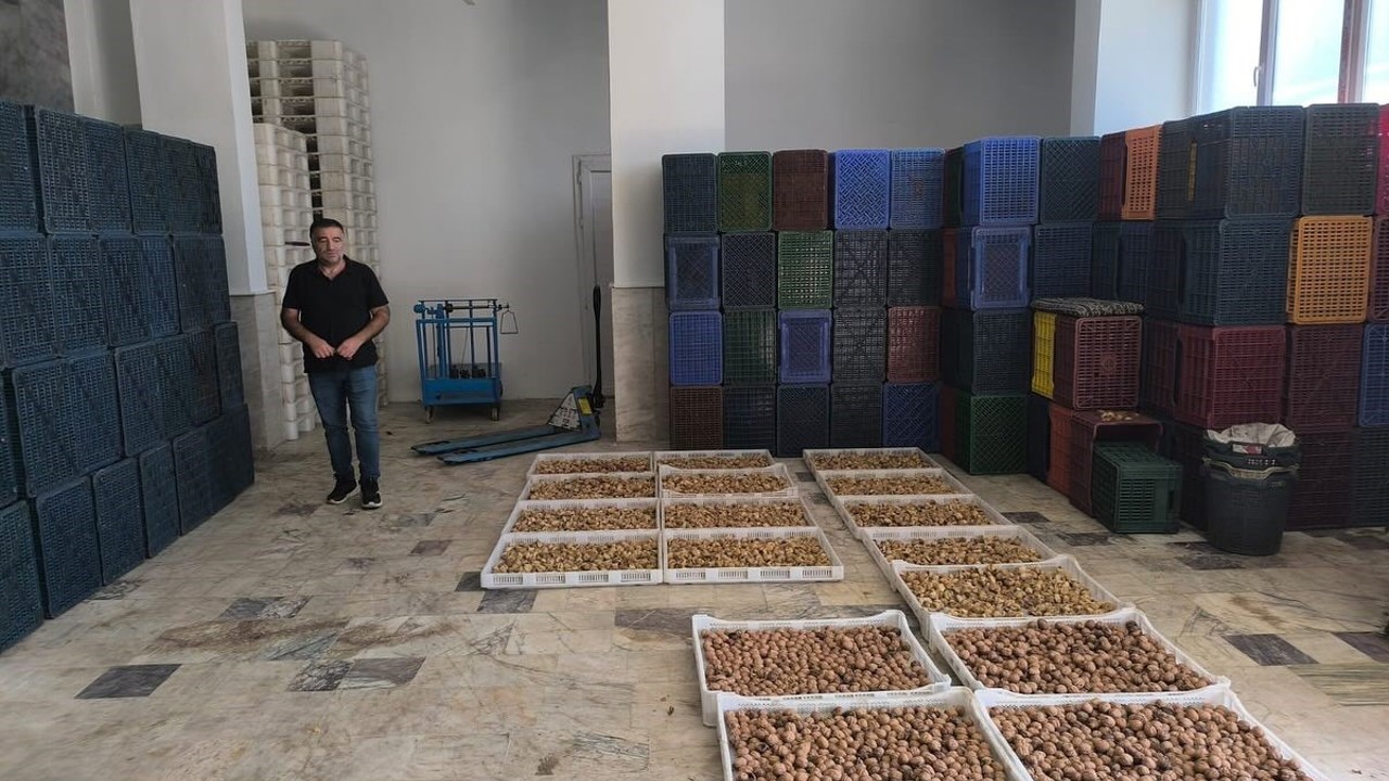 Köşk’te kuru incir depolarına sıkı denetim
