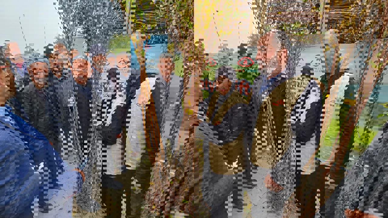 Avusturya'dan Malatya’daki Kayısı Üreticilerine 12 Bin Adet Fidan Desteği