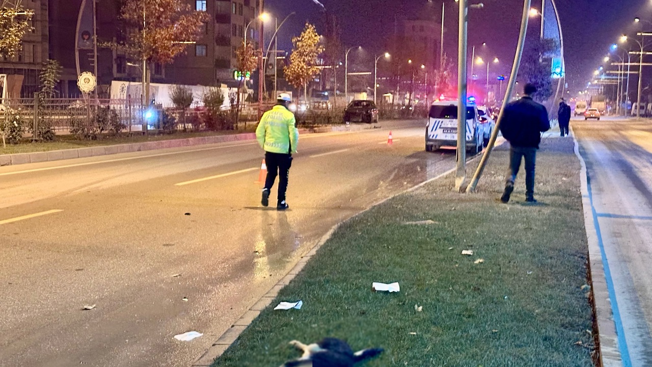 Köpeğe Çarpan Otomobil Kontrolden Çıkıp Refüje Çarptı