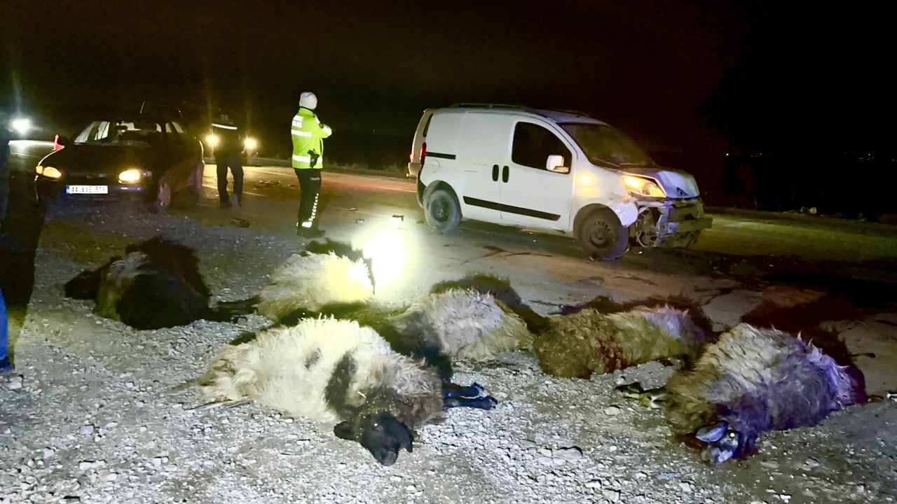 Hafif Ticari Araç Koyun Sürüsüne Daldı; 12 Hayvan Telef Oldu