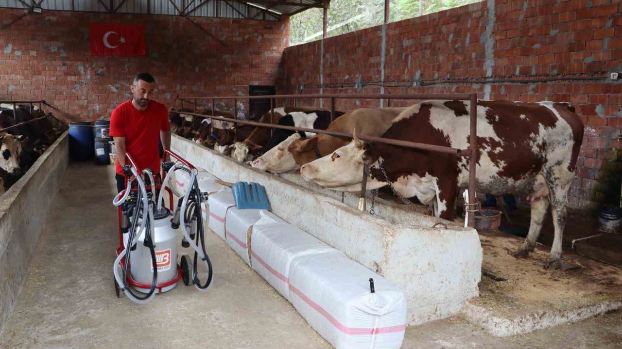 Ordu’da sütün değeri artıyor
