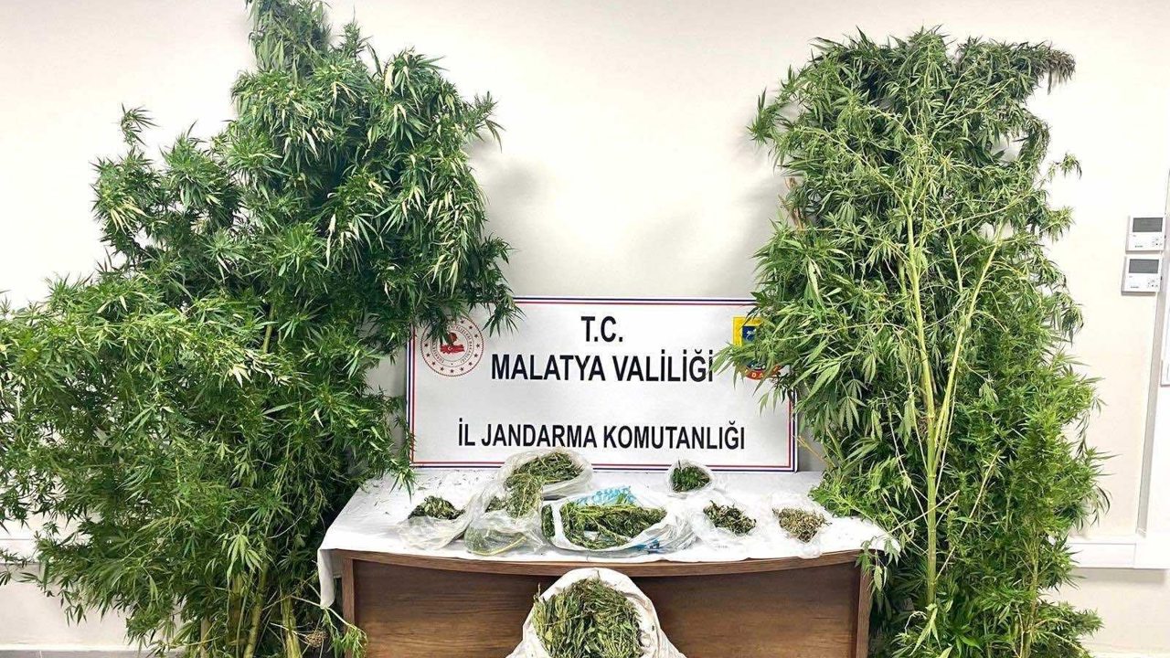 Malatya’da Uyuşturucu Operasyonlarında 16 Şüpheli Tutuklandı