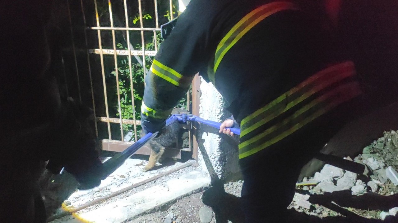 Demir korkuluklara sıkışan yavru köpek itfaiye ekiplerince kurtarıldı
