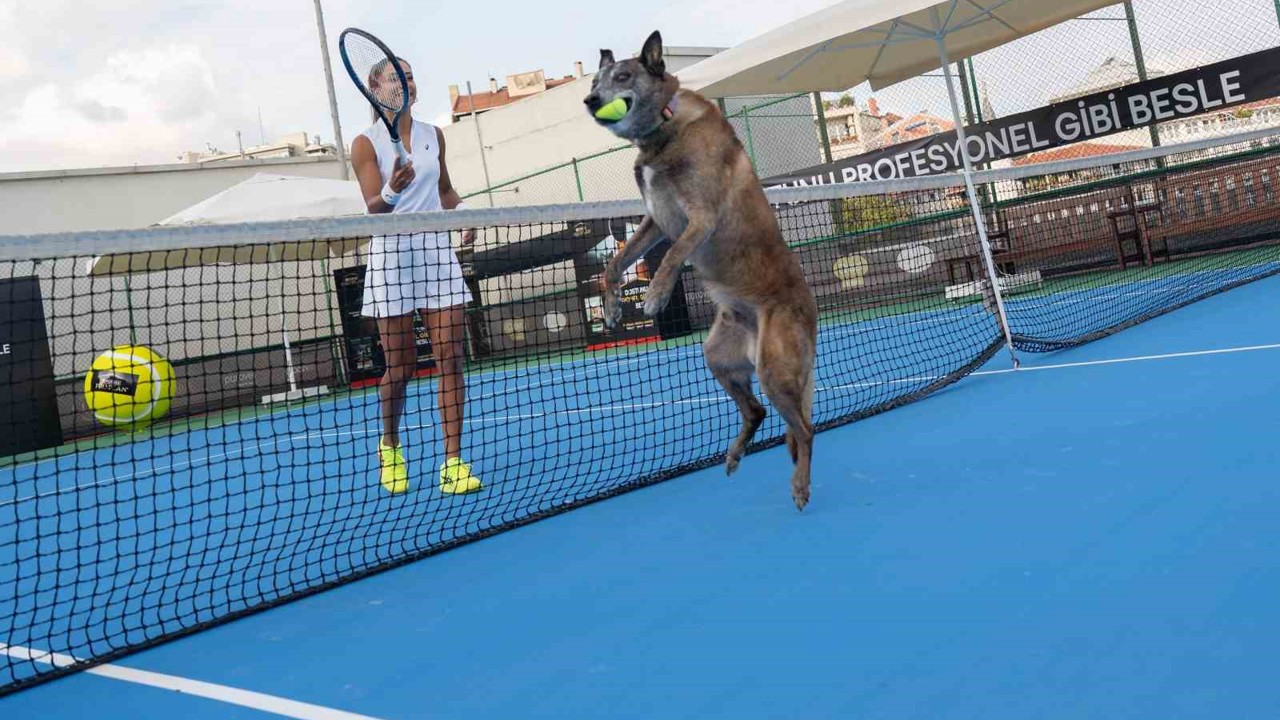 Milli Tenisçi Büyükakçay, patili dostu ile tenis oynadı
