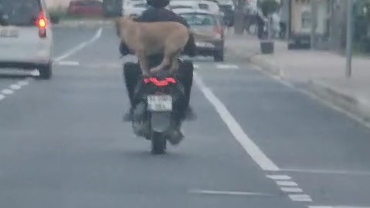 Çanakkale’de motor artçısı görenleri hem şaşırttı hem neşelendirdi
