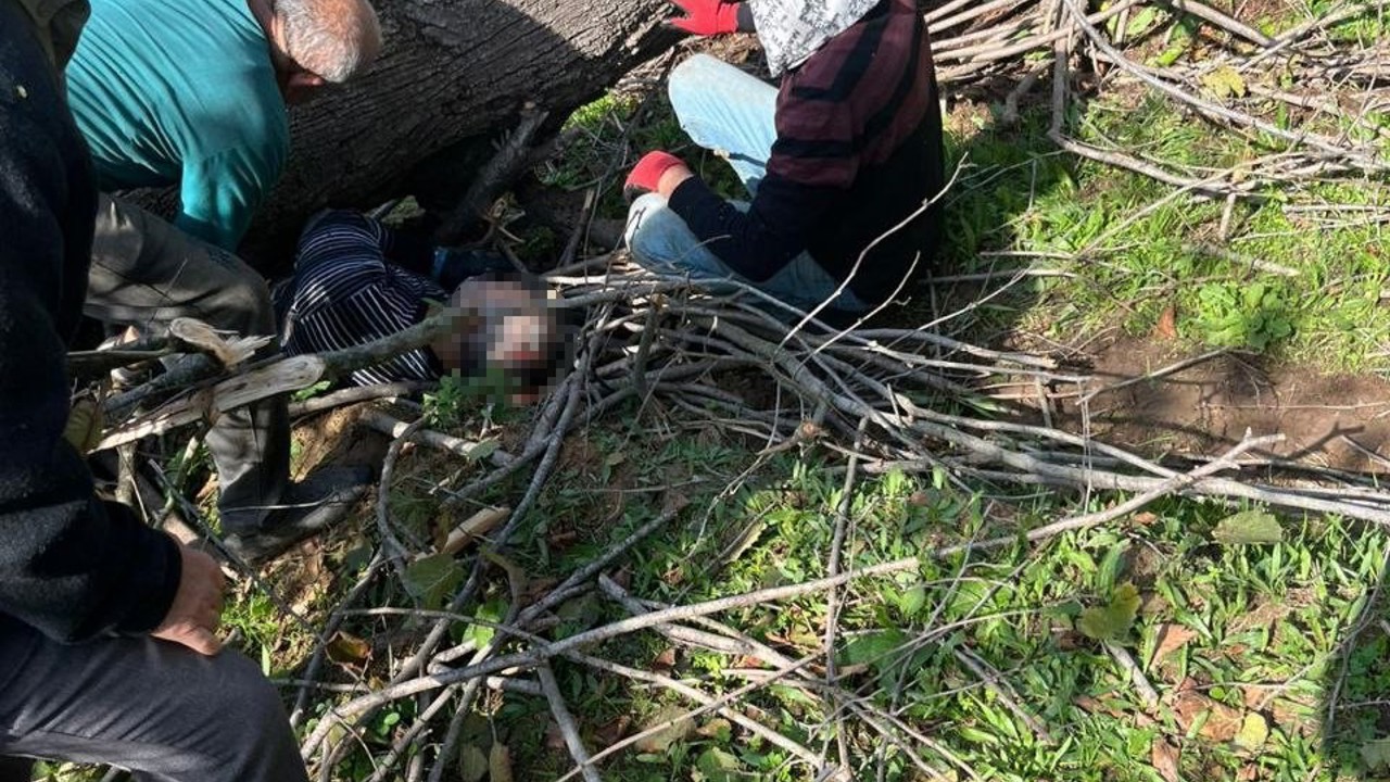 Kestiği ağacın altında kalarak yaralanmıştı, hastanede hayatını kaybetti
