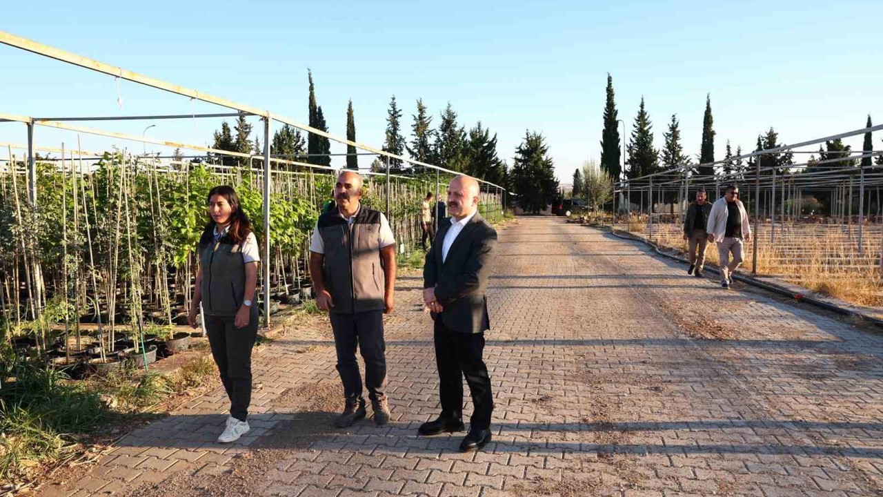 Vali Varol, orman fidanlığında incelemelerde bulundu
