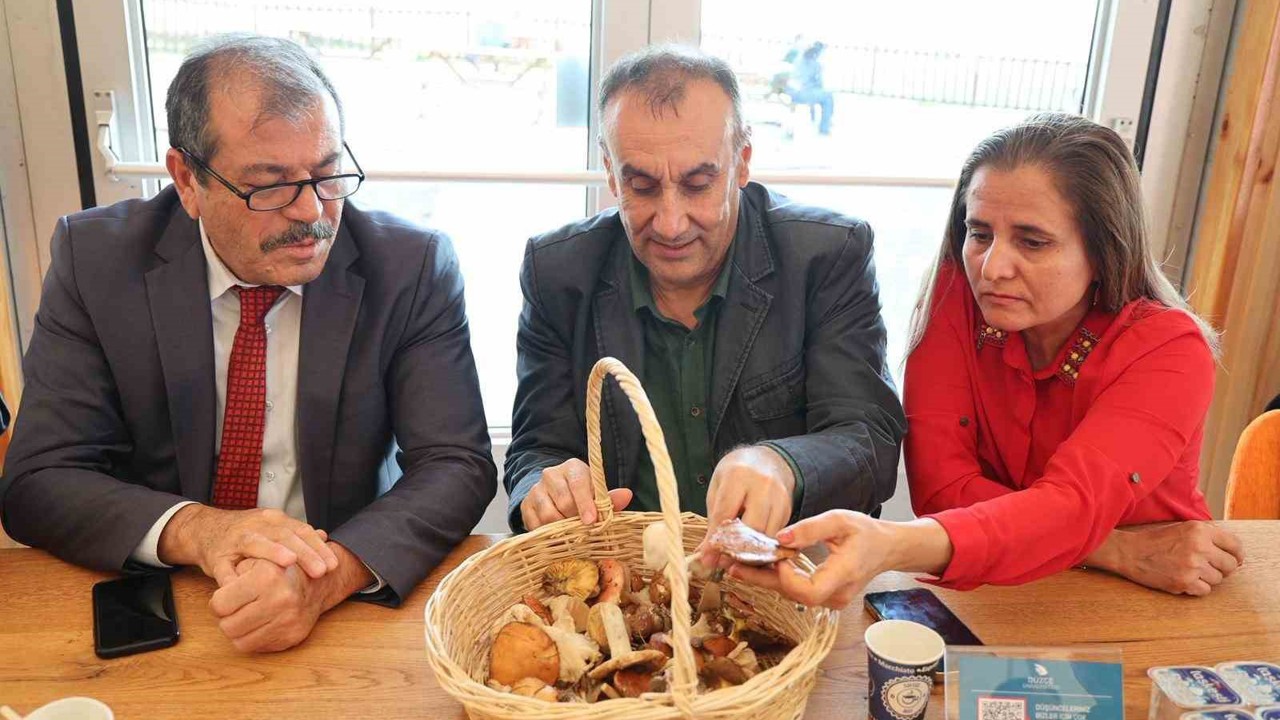 Mantarların gizemli dünyası anlatıldı
