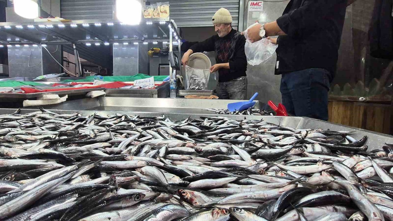 Karadeniz’de hamsi bollaştı, Bartın’da kilosu 50TL’ye düştü
