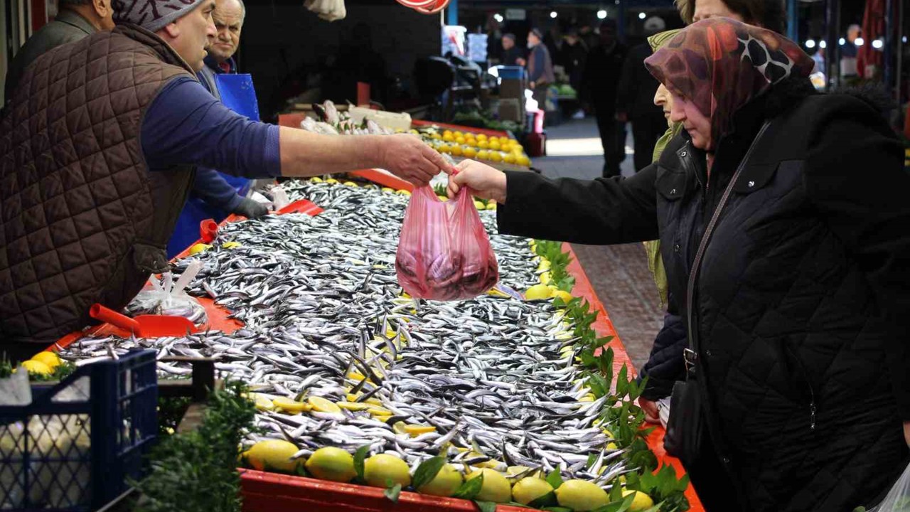 Fiyatı düşen hamsiye talep arttı: "Son 10 yıldır böyle güzel hamsi gelmedi"
