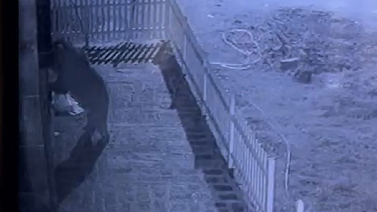 Kapıyı hırsız zorluyor sandı, gerçek güvenlik kamerası ile ortaya çıktı
