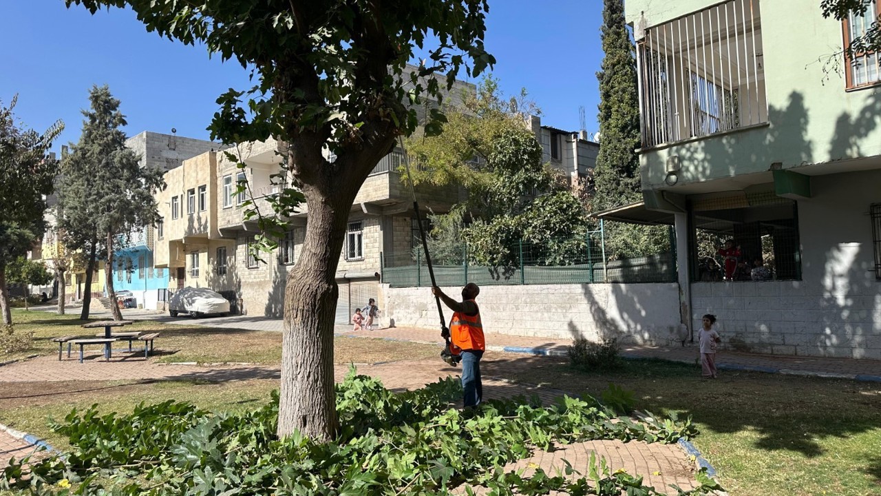 Eyyübiye’deki parklarda sonbahar bakımı
