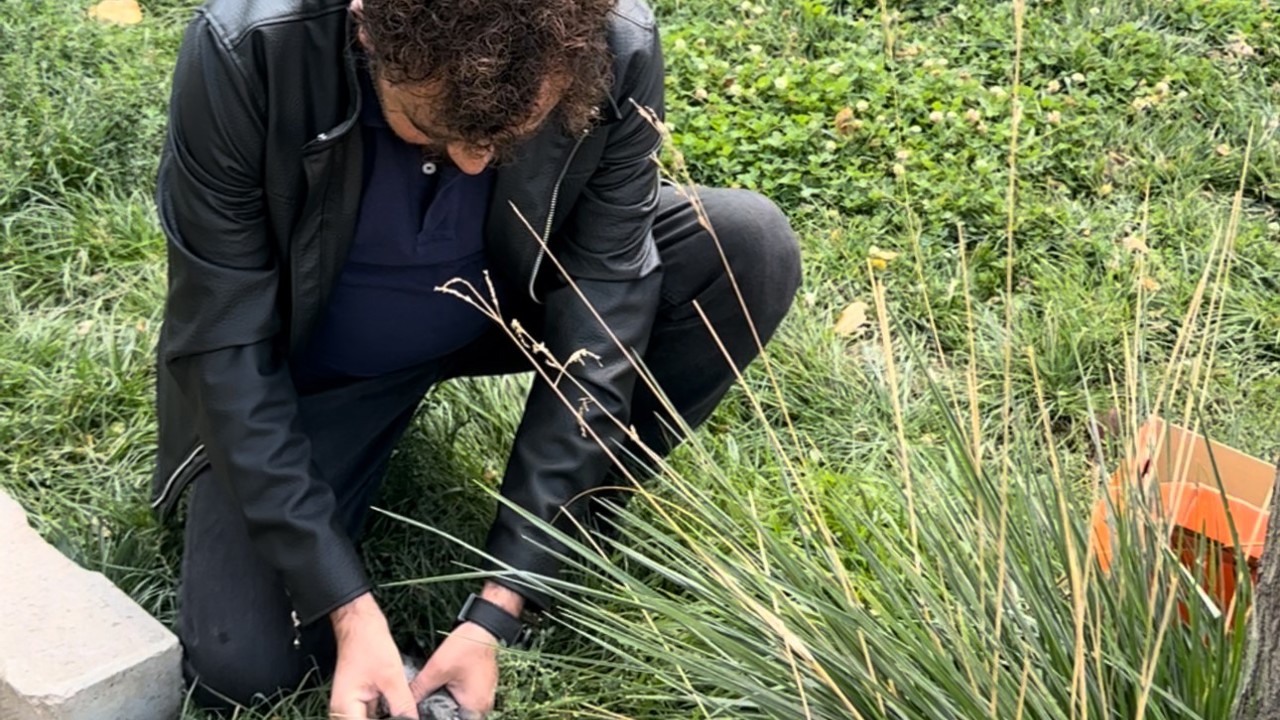 Öğretmenin fark ettiği yaralı güvercin kurtarıldı
