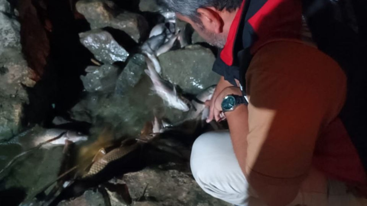 Ceyhan Nehri’ndeki kirlilikle ilgili numune alındı

