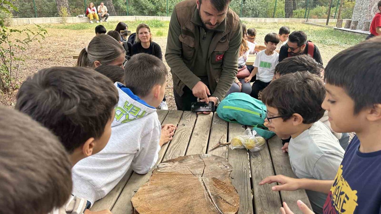 Öğrenciler yaban hayatını yakından tanıdı
