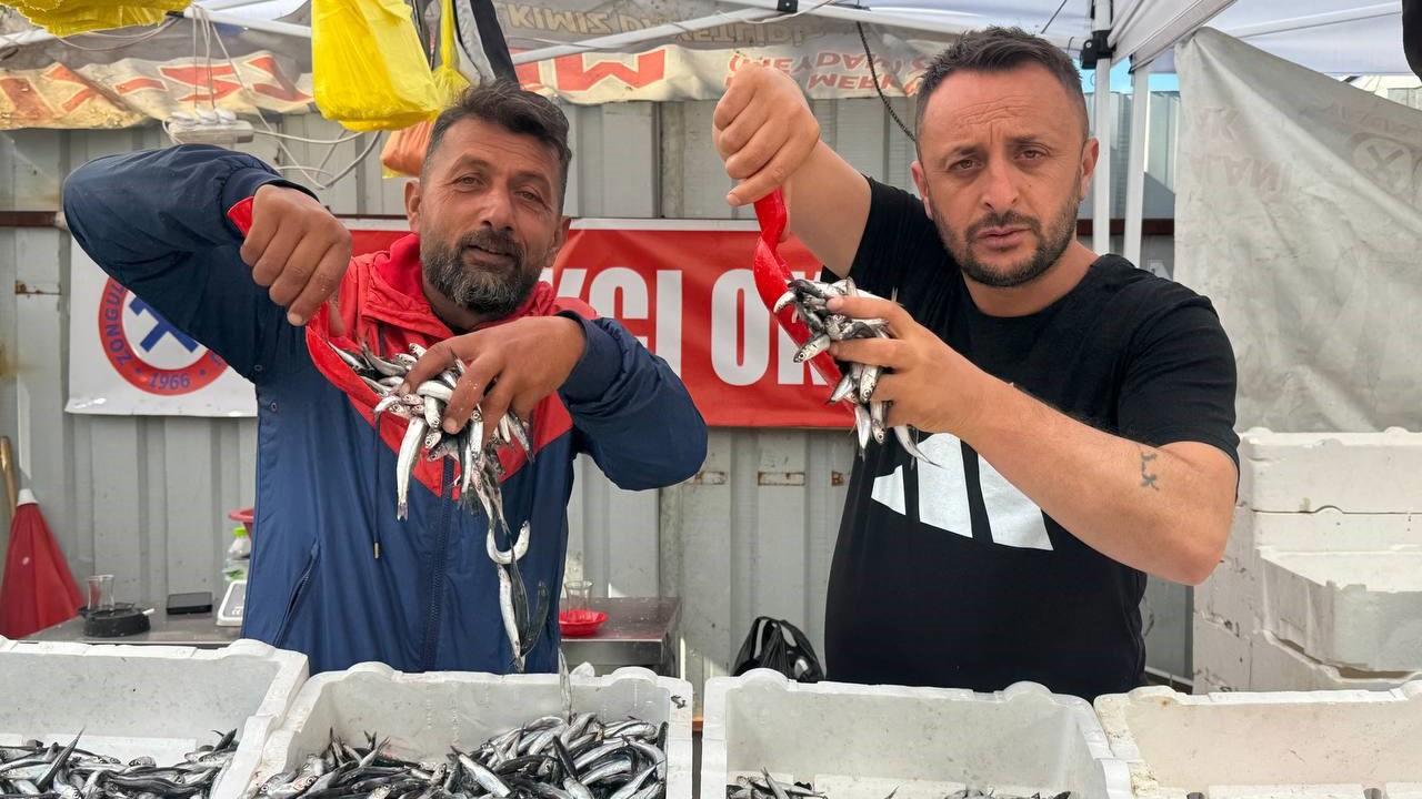 Hamsinin fiyatı 70 liraya indi, tezgahlar şenlendi
