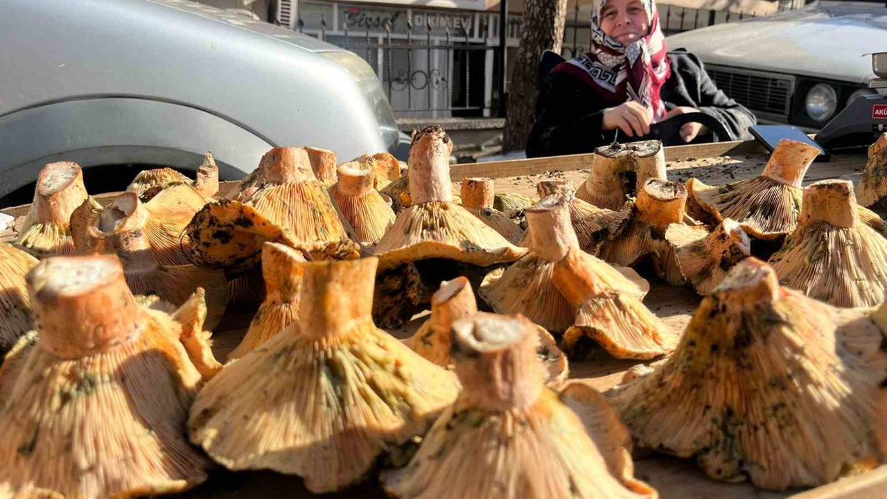 Tavşanlı pazarında mantar mesaisi

