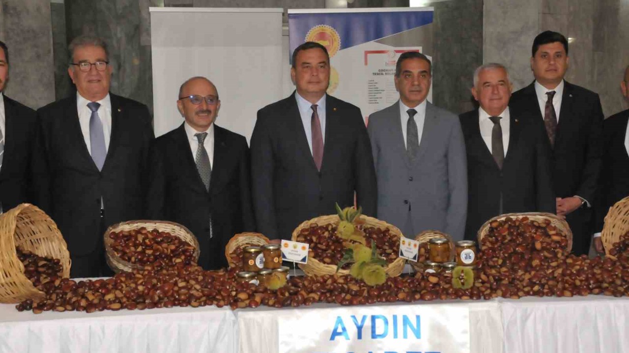 Aydın’da sezonun ilk kestanesi kilosu 550 TL’den alındı
