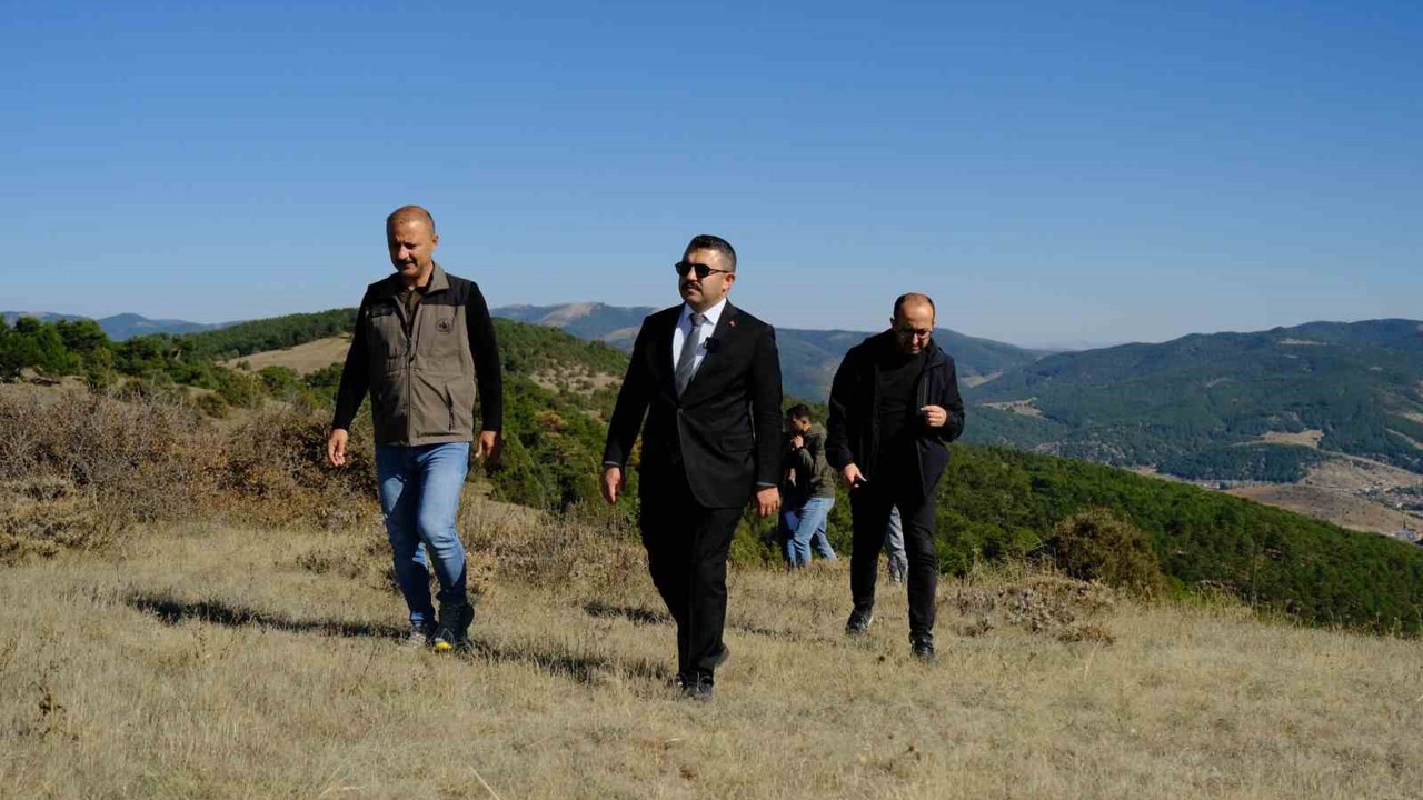 Akdağmadeni Orman Parkı projesinde çalışmalar başladı
