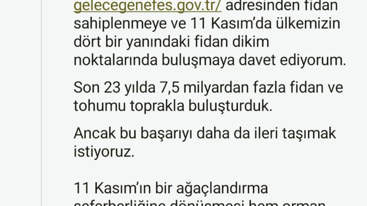 Cumhurbaşkanı Erdoğan’dan 11 Kasım Milli Ağaçlandırma Günü mesajı
