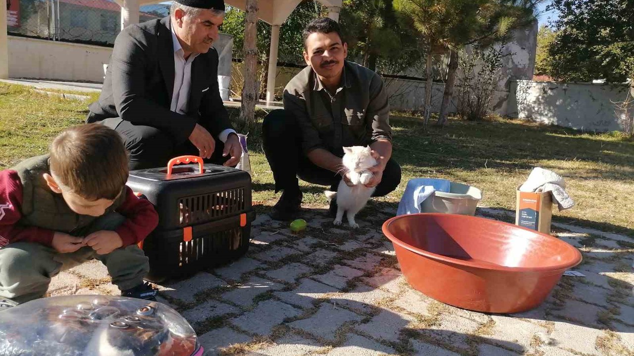 Cami imamı onlarca kediye bakıyor
