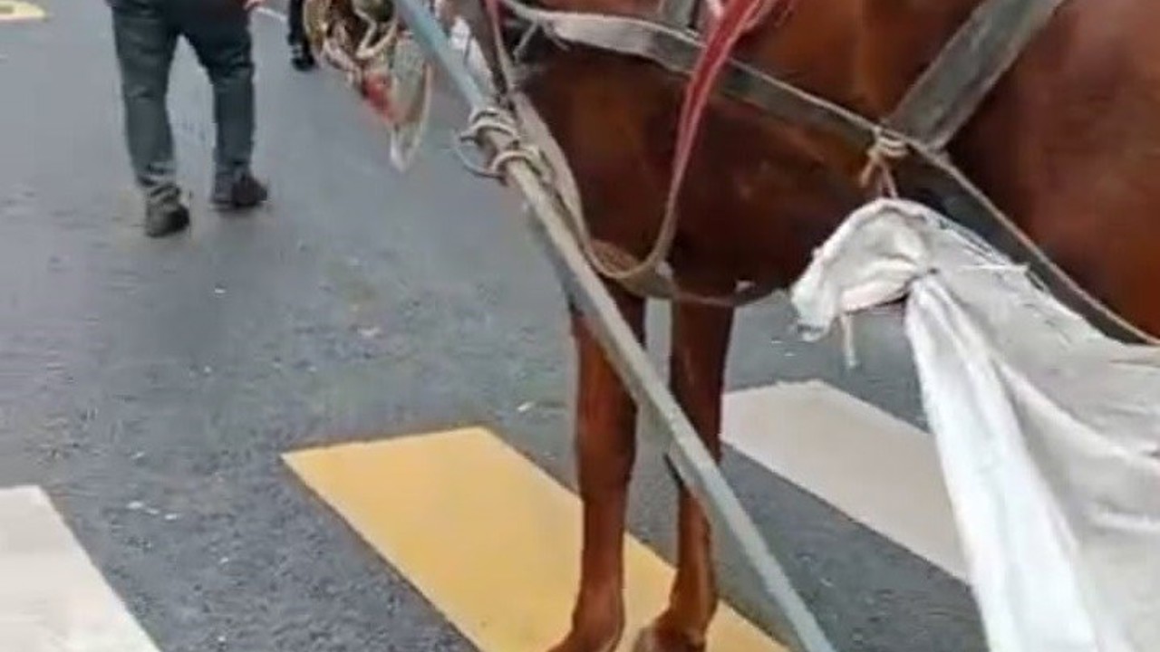 At arabasına 993 lira hatalı park cezası
