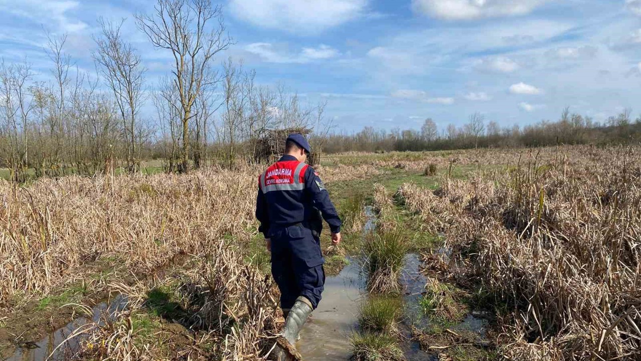 Kaçak avcılıkta kullanılan 6 avcı kulübesi imha edildi
