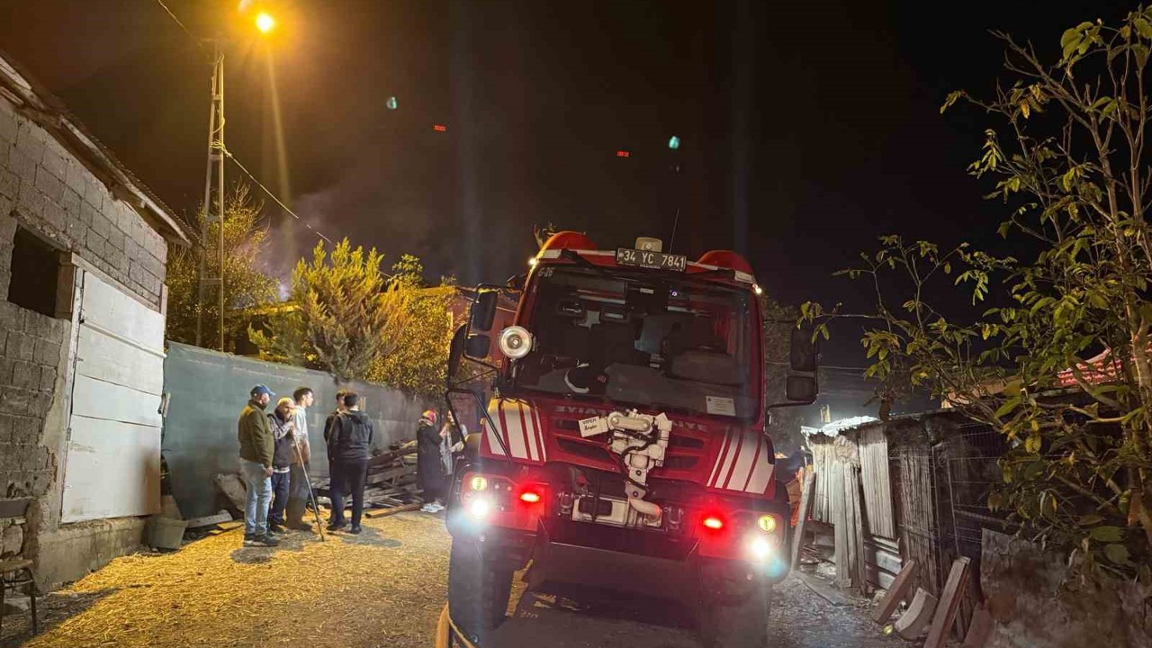 Çatalca’da samanlık yangını eve sıçradı, 4 hayvan telef oldu
