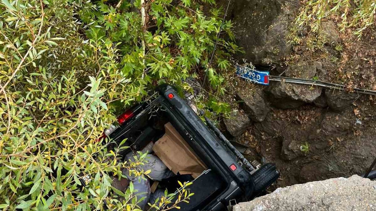 Köprüden uçan otomobil ağaç dallarında asılı kaldı: 2 yaralı
