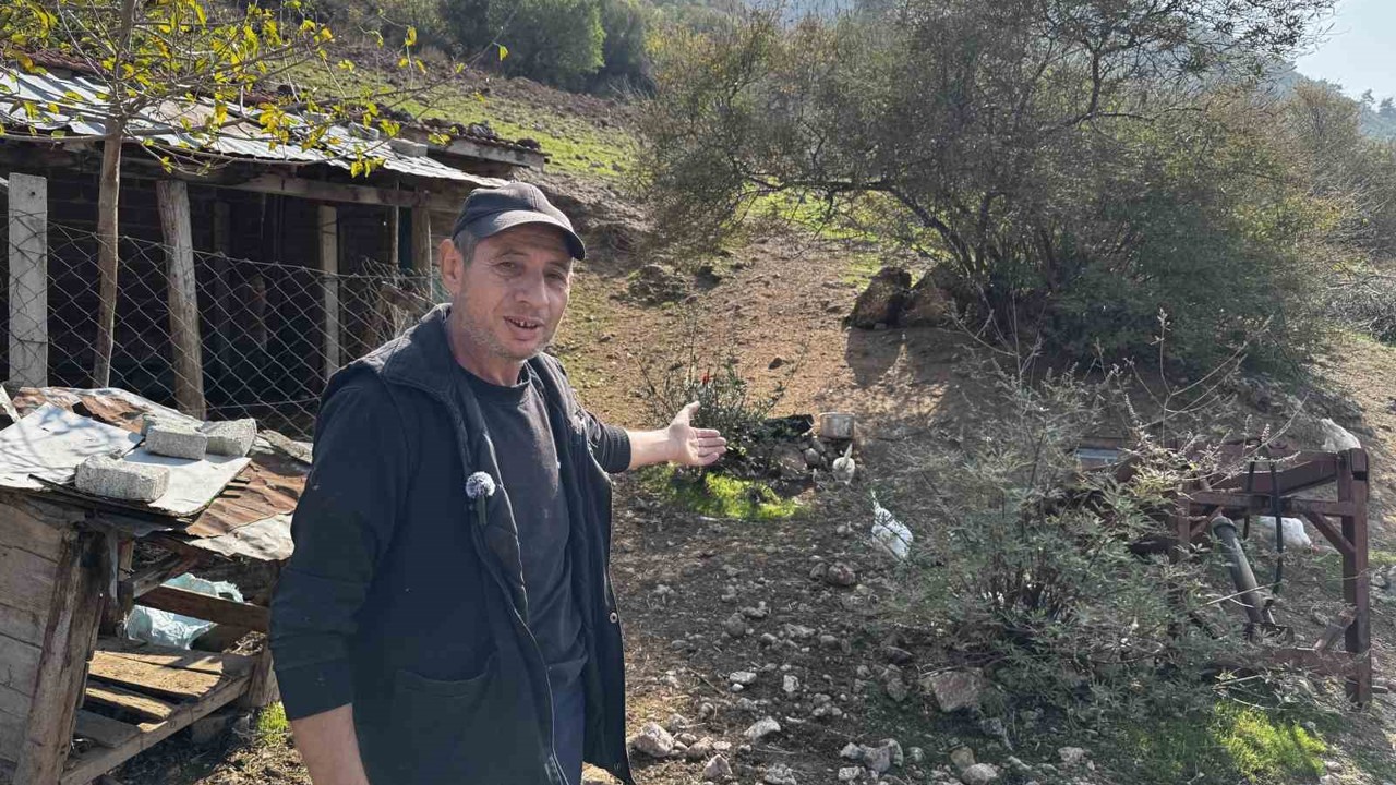 CİMER’e yapılan ’İnek ve tavuklar serbest dolaşıyor, salgın hastalık riski var’ şikayeti bölge sakinlerini şaşkına uğrattı
