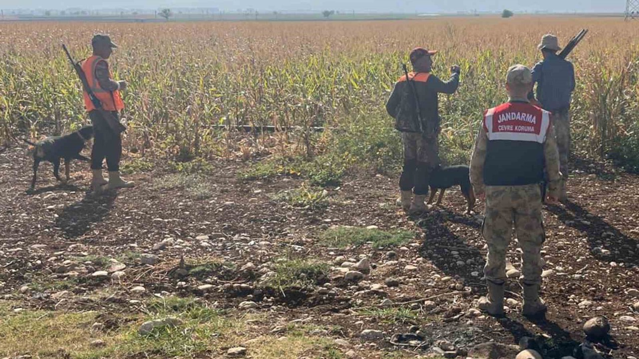 Gaziantep’te tarım arazilerine zarar veren yaban domuzları için sürek avı yapıldı
