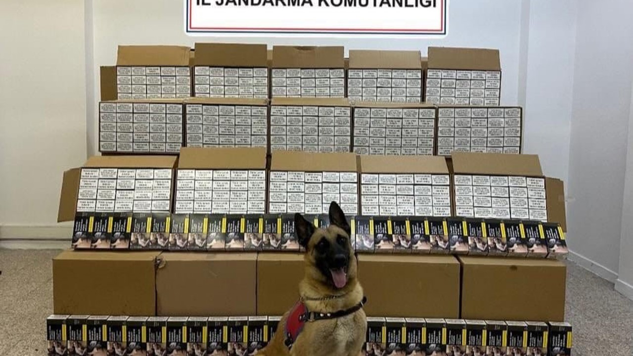 Tokat’ta 1 milyon 200 bin TL değerinde bandrolsüz makaron ele geçirildi
