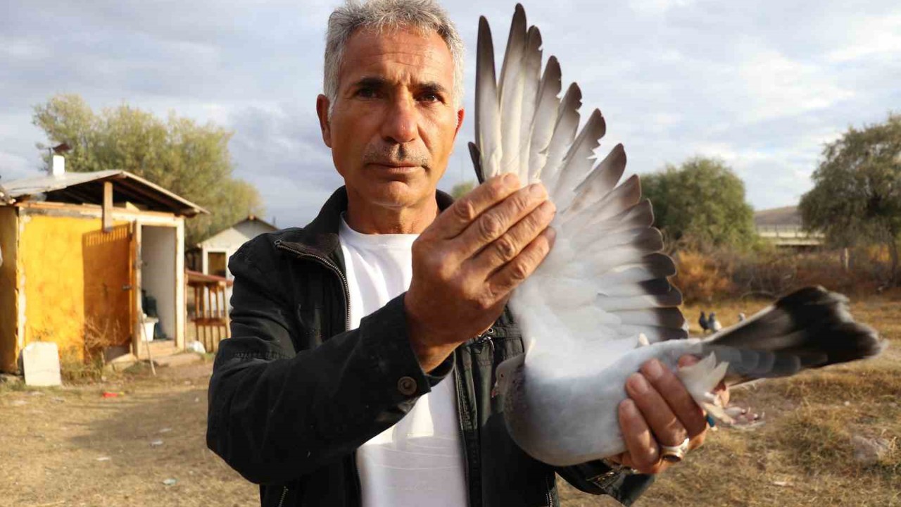 Değeri yarım milyondan fazla, yurt dışından bile talep görüyor
