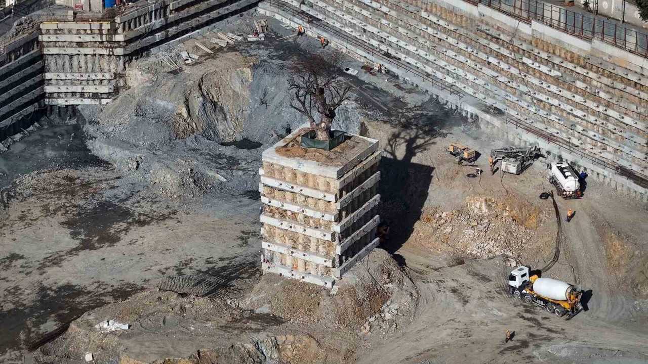 Milyarlık projede tarihi ağaca fore kazıklı koruma
