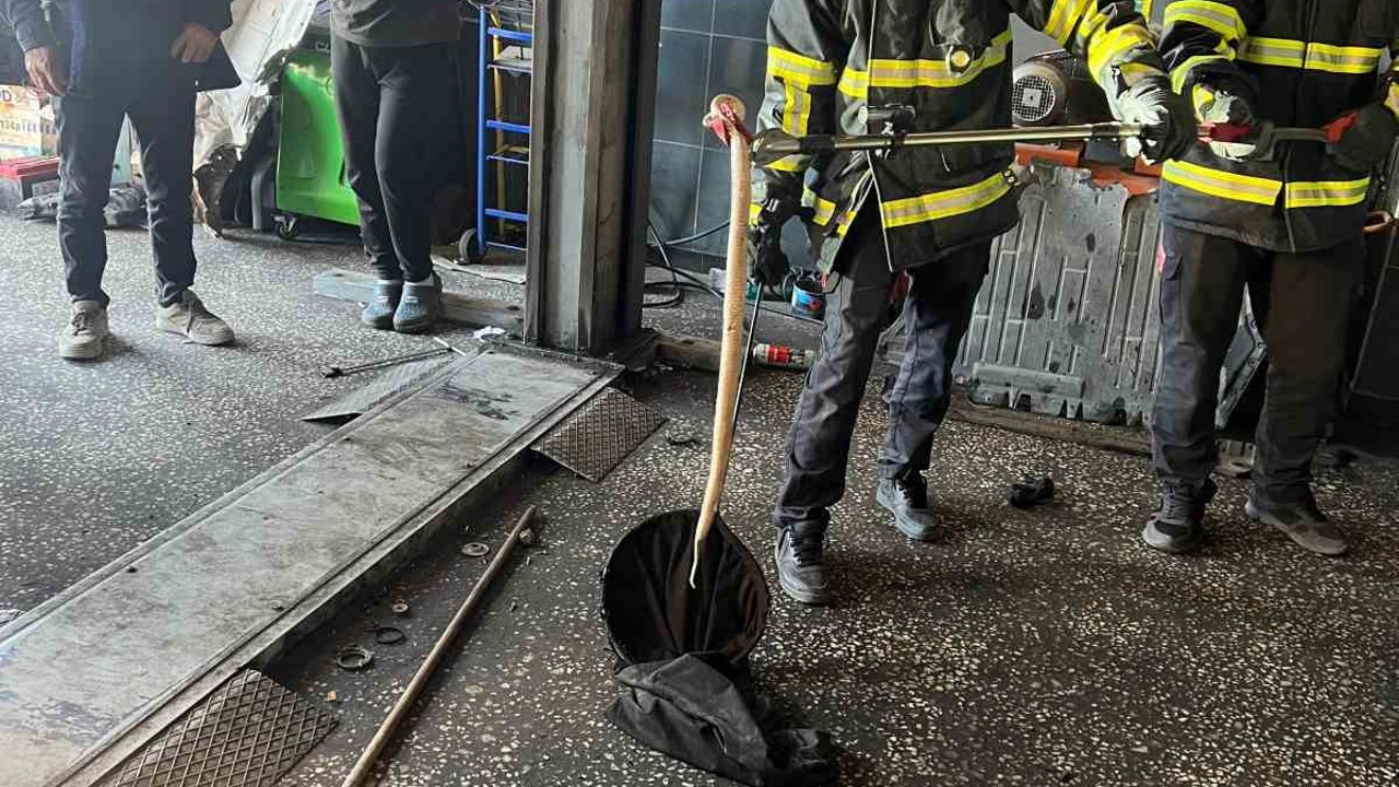 Batman’da otomobilin motoruna giren yılan itfaiyeyle ekiplerince çıkartıldı
