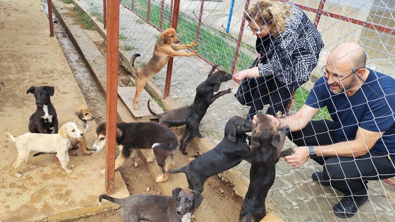 Germencik Sokak Hayvanları Rehabilitasyon Merkezi açılış için gün sayıyor
