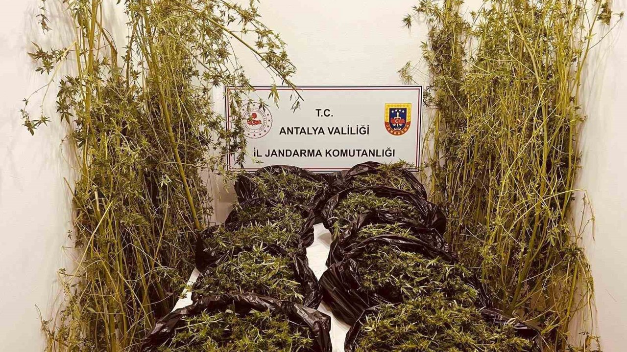 Antalya’da 53 kilo uyuşturucu ele geçirildi
