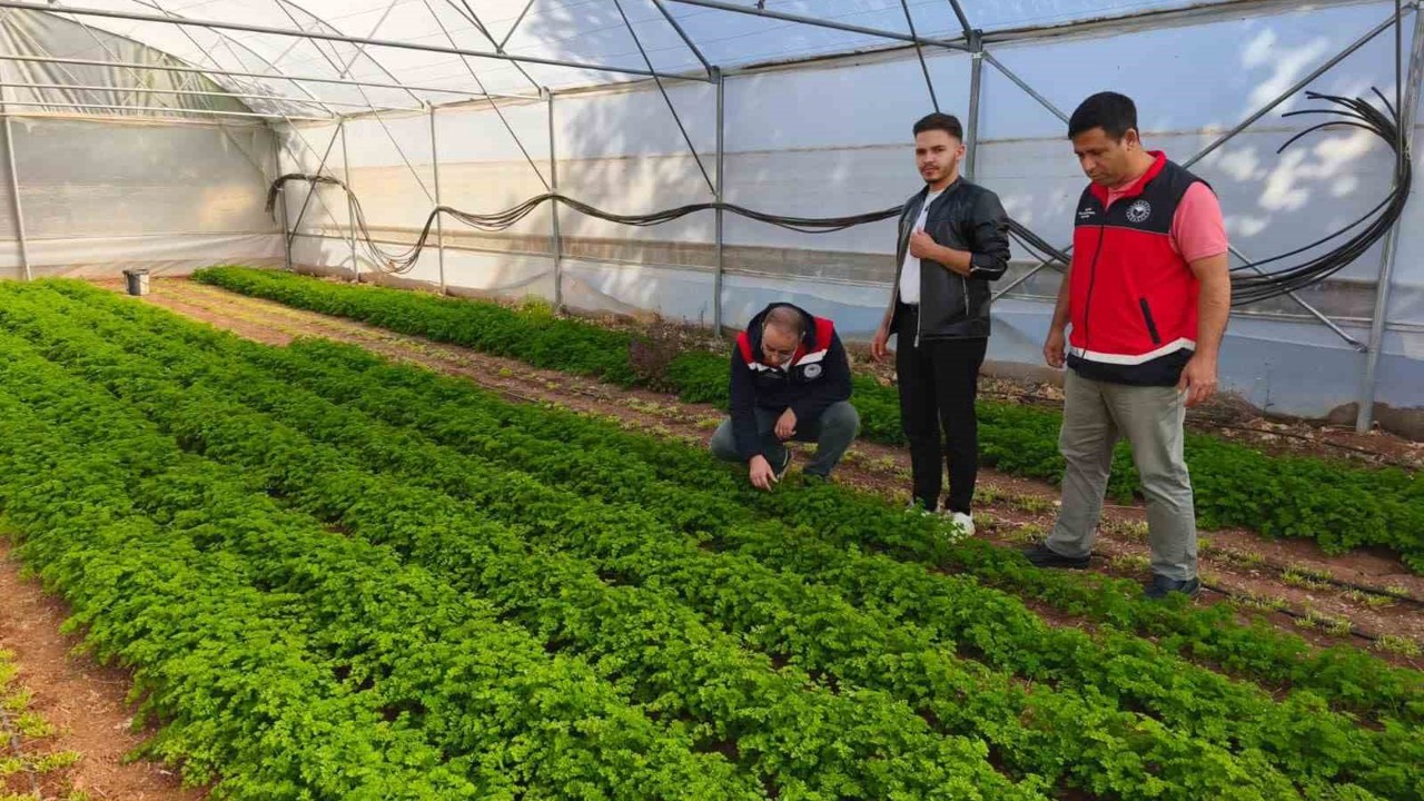 Beyşehir’de örtü altı üretim yaygınlaşıyor
