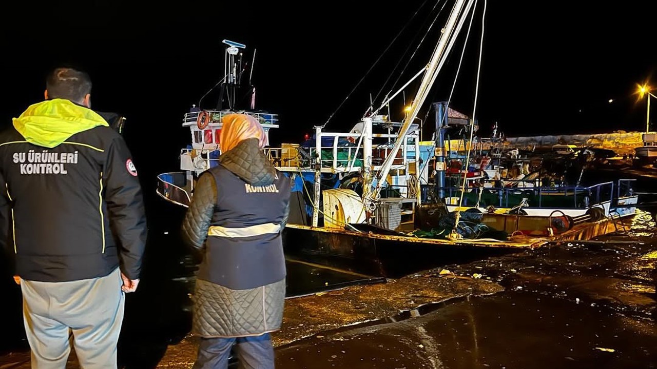 Karadeniz’de hamsi yoğunluğu devam ediyor
